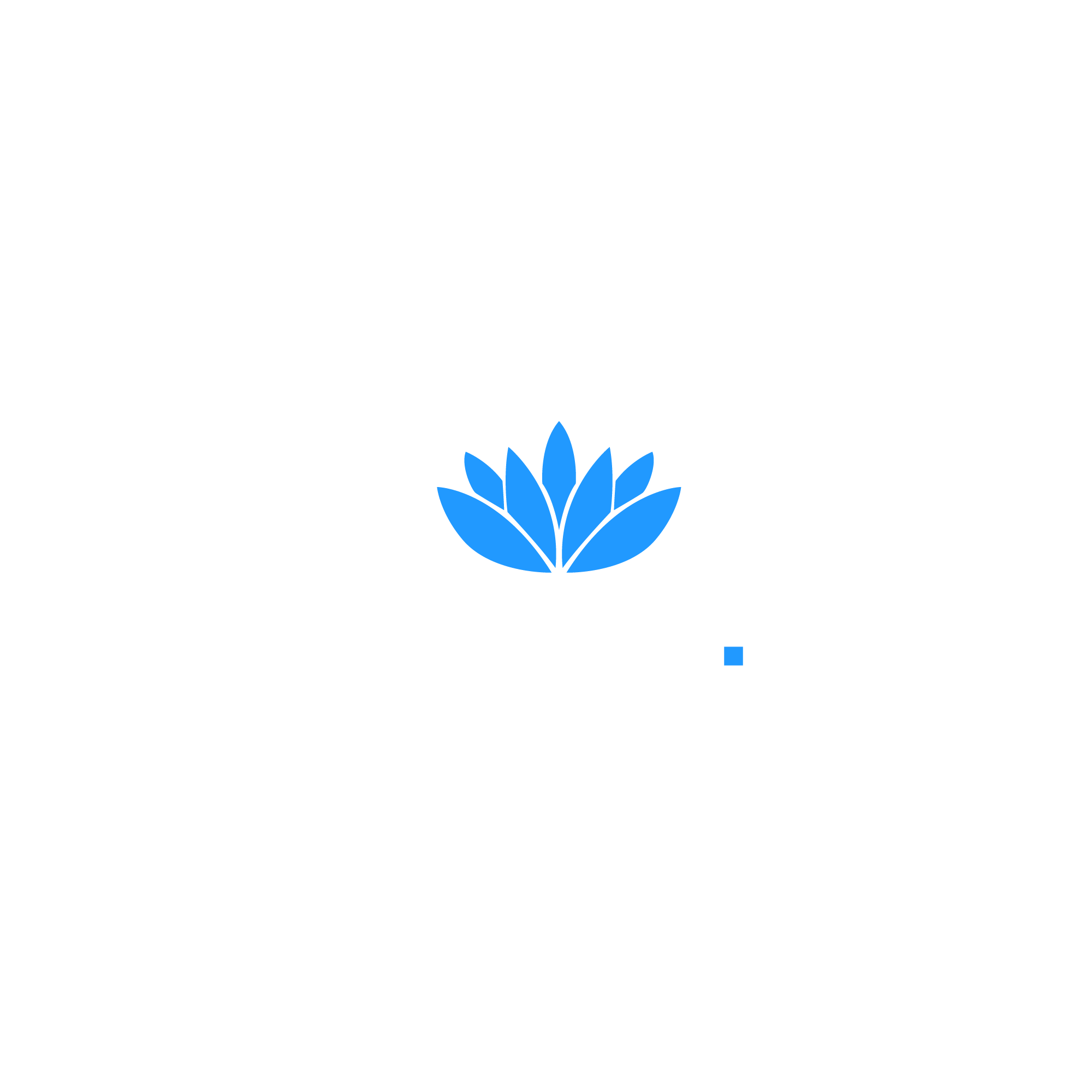 Blisswave